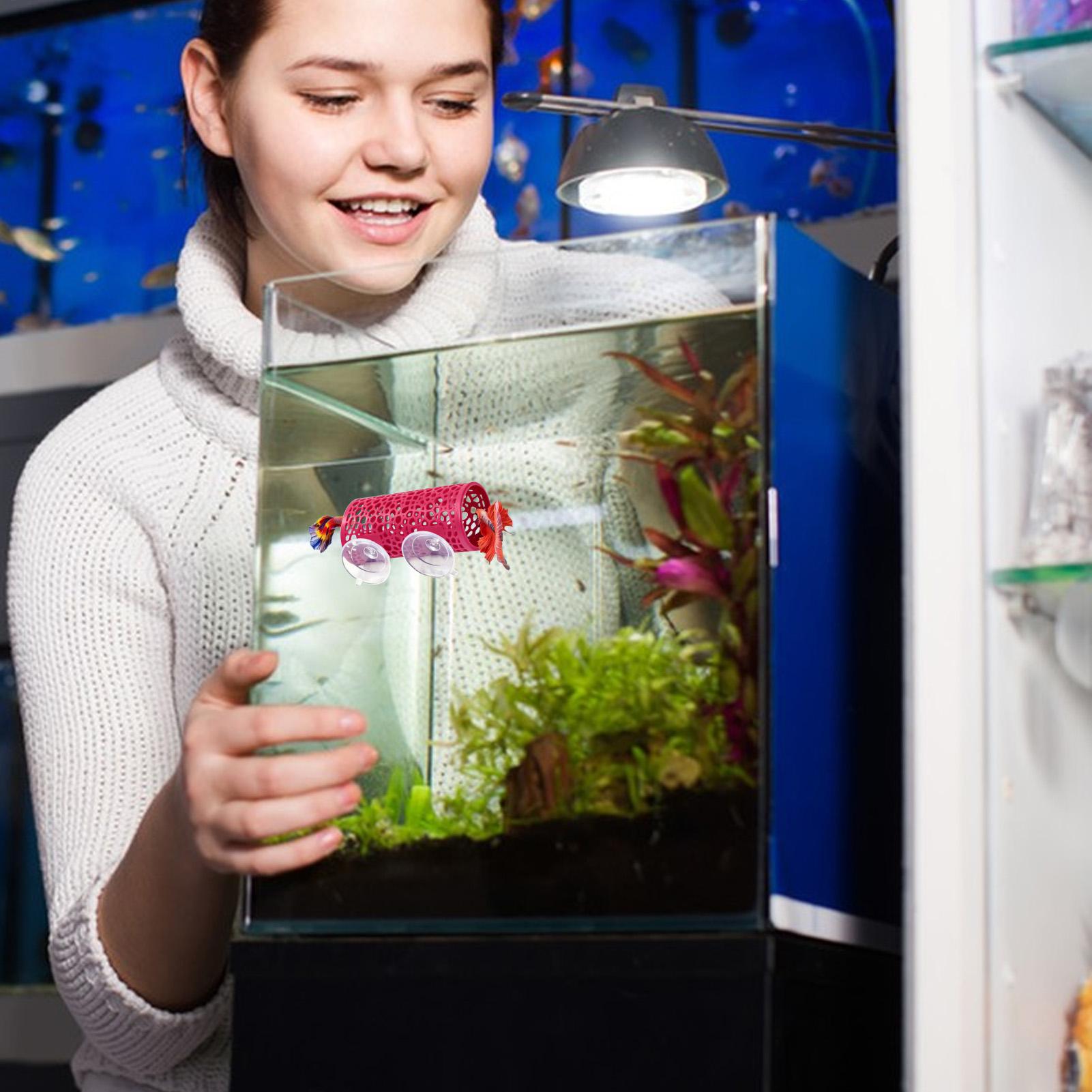 Betta Fish Tank - Tunnel Giocattolo per Pesci Betta, Rifugio