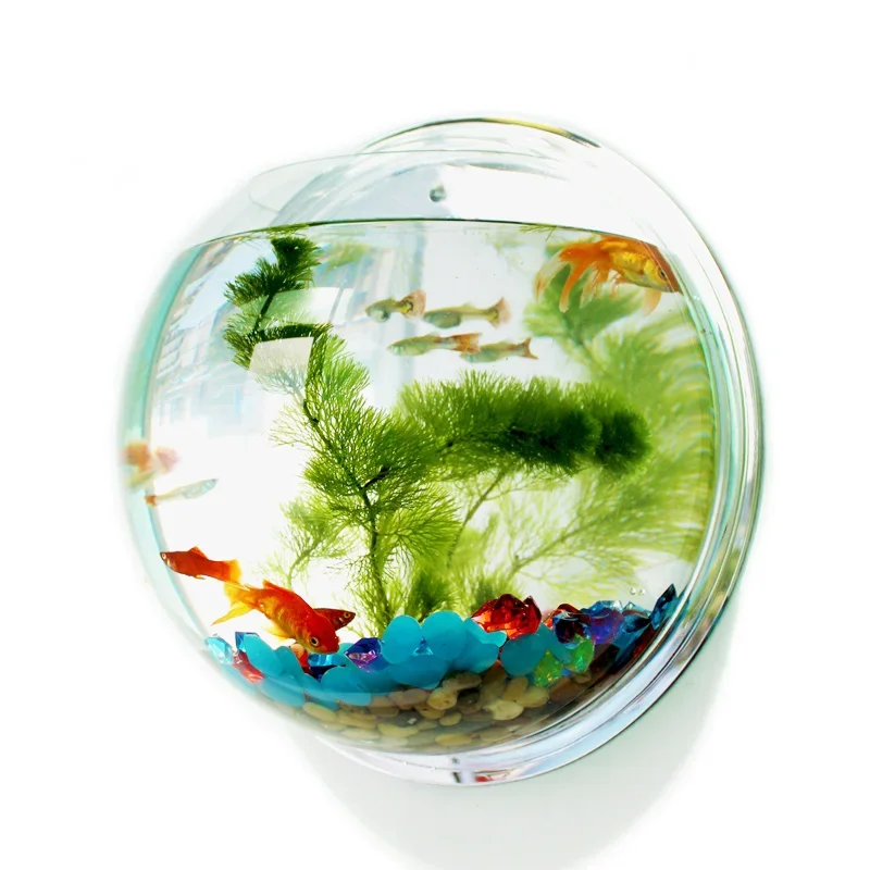 Aquarium Fish Betta - Pinsjar Ciotola per pesci in acrilico