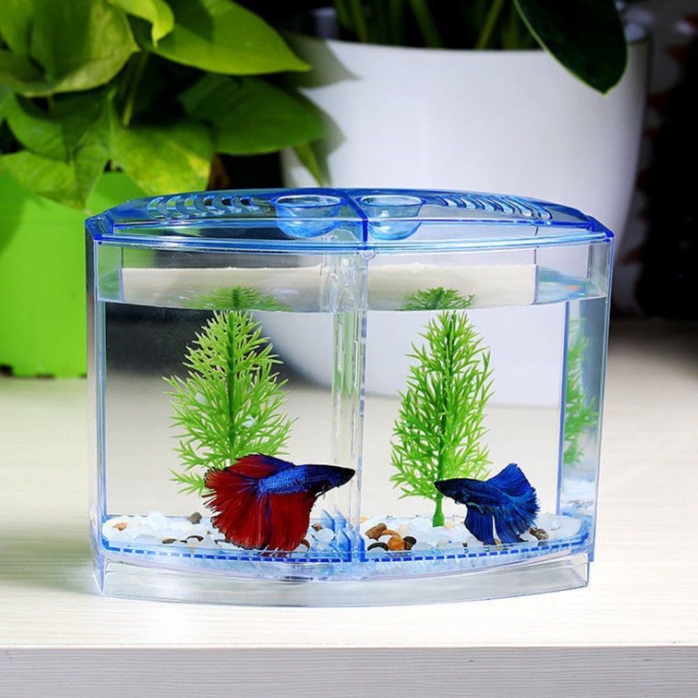Betta Fish Tank - Acquario Betta trasparente, acquario Guppy a