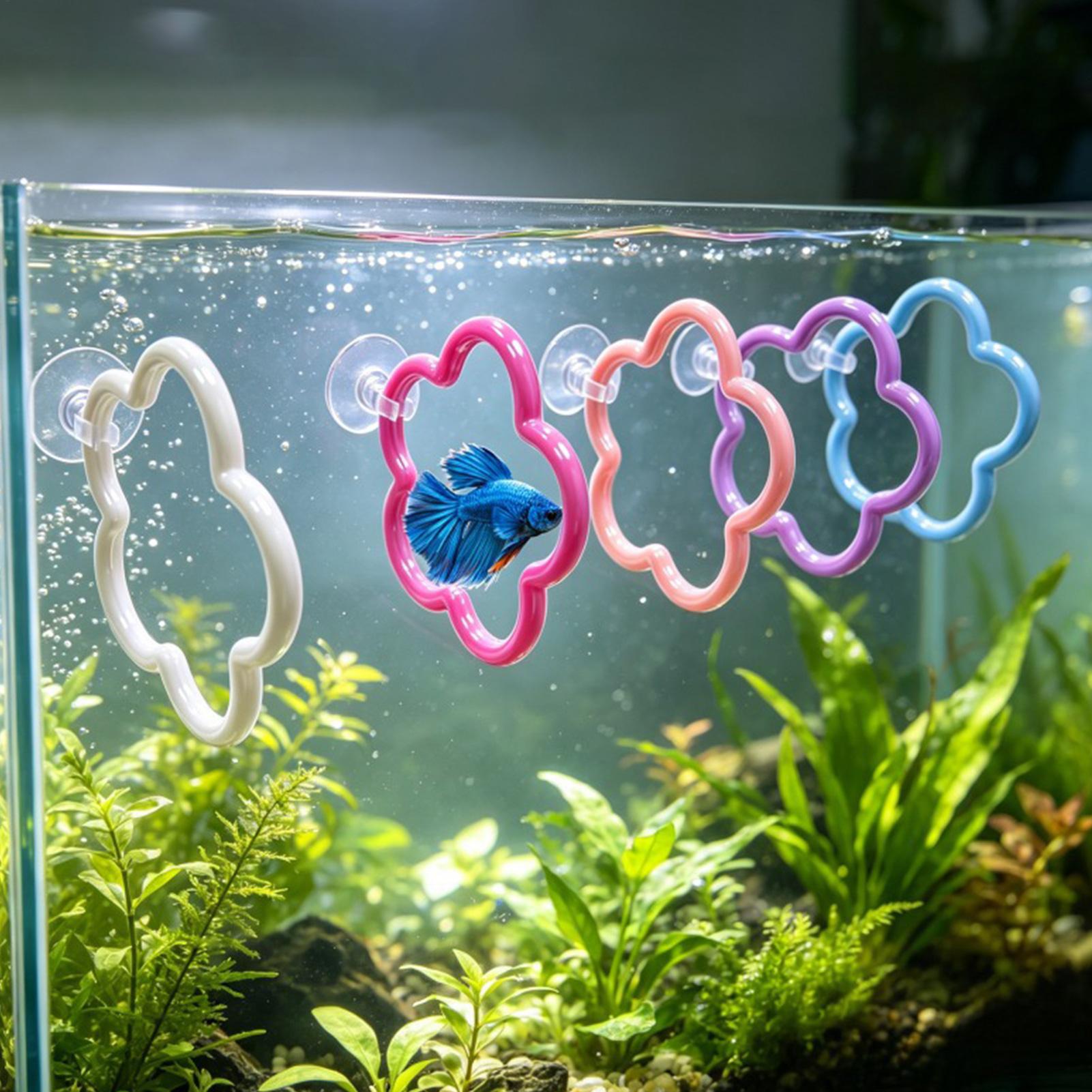 Aquarium Fish Betta - Giocattoli per Pesci Betta, 5 Pezzi