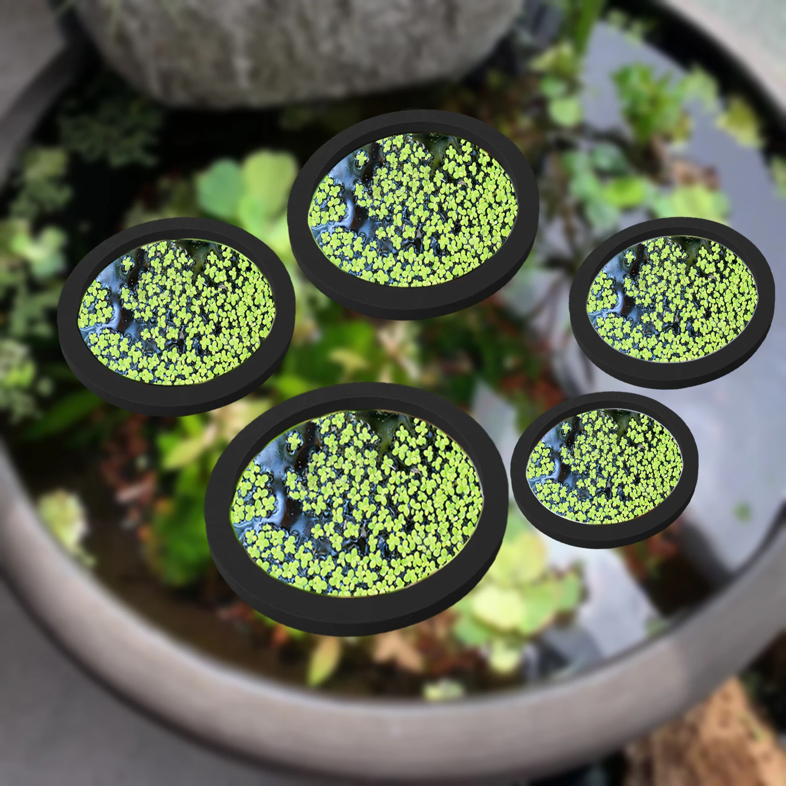 Aquarium Plants - 5 pz EVA Anello di Alimentazione