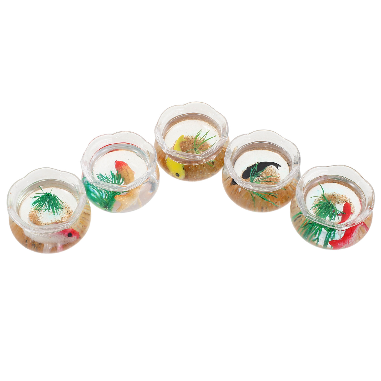 Aquarium Plants - Set da 5 mini acquari a