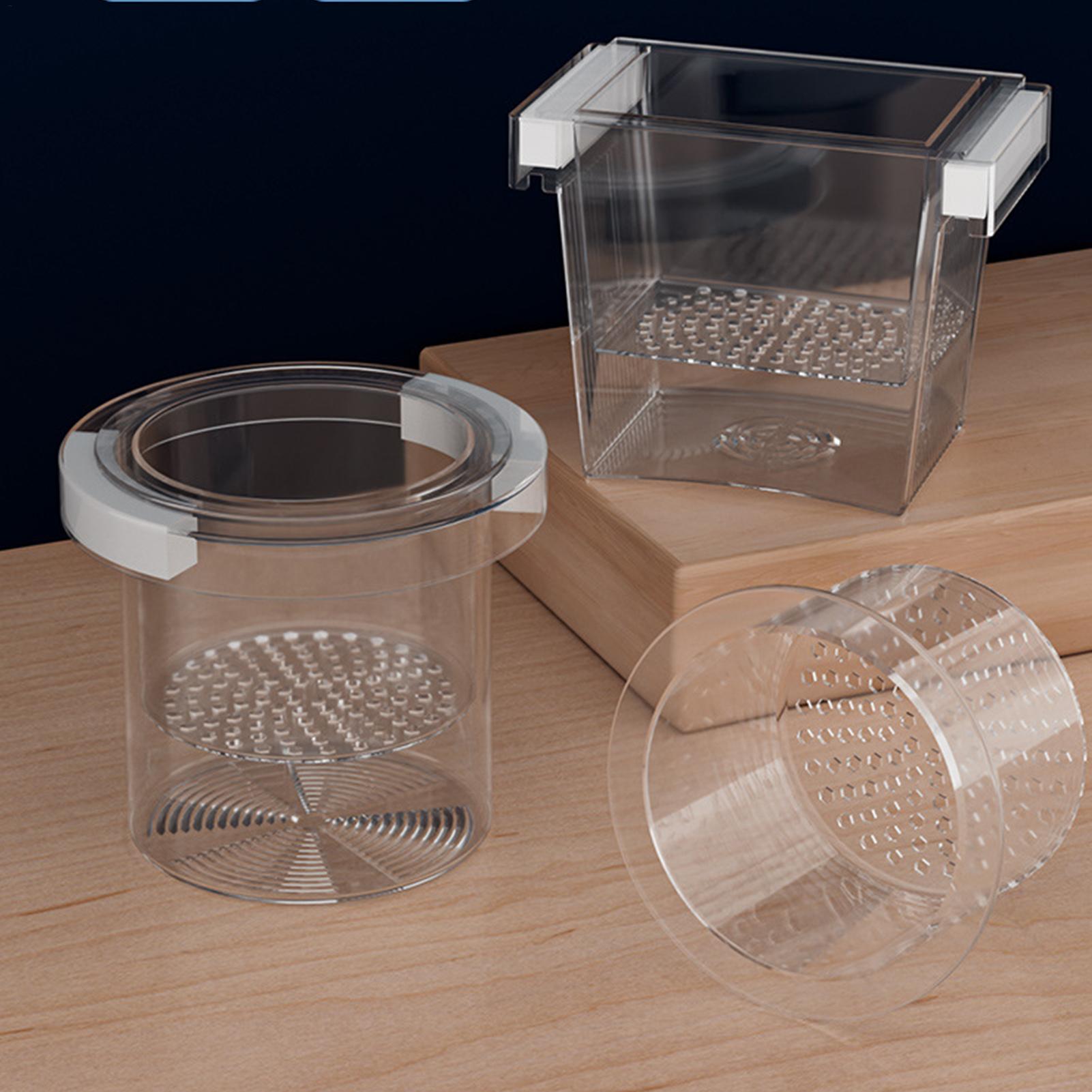 Scatola di Isolamento Galleggi - Betta Fish Tank recensione e prezzo