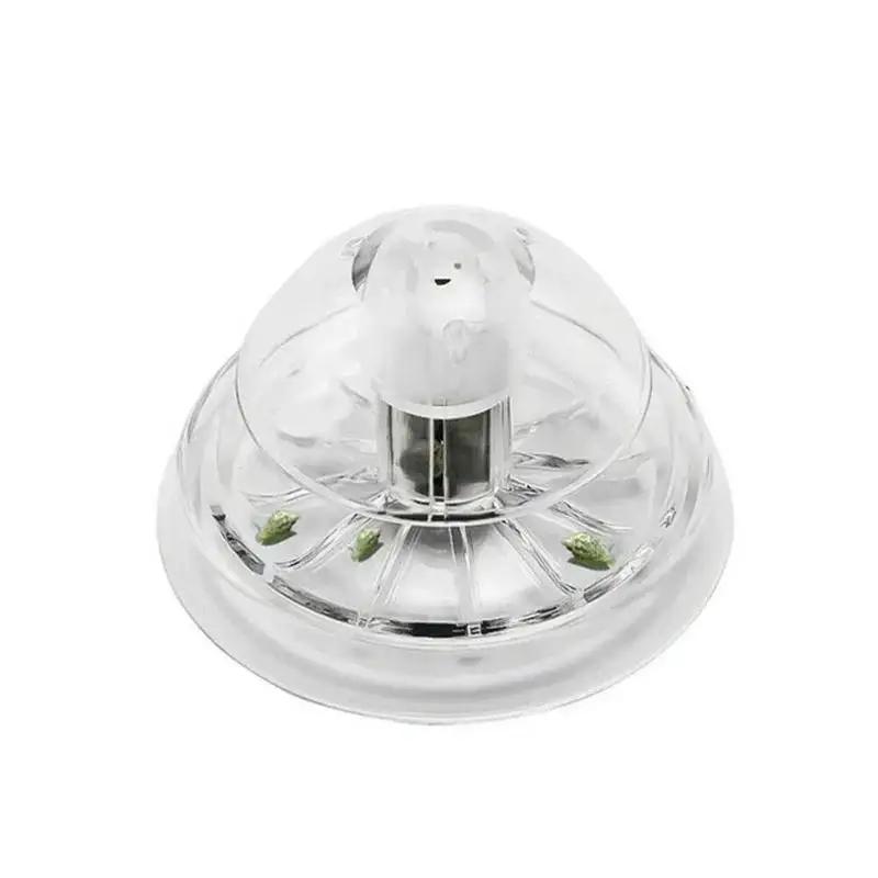 Nuova Trappola per Lumache in  - Fish Aquarium Home recensione e prezzo