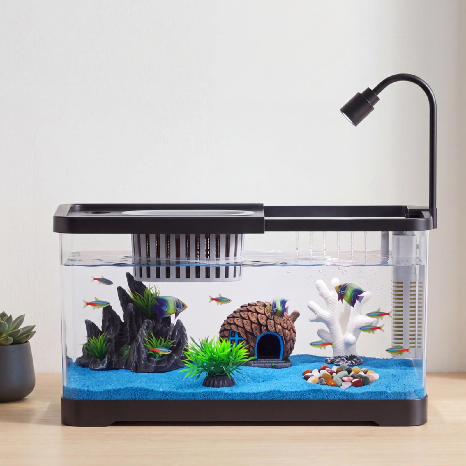 Kit Iniziale per Acquario con  - Betta Fish Tank recensione e prezzo