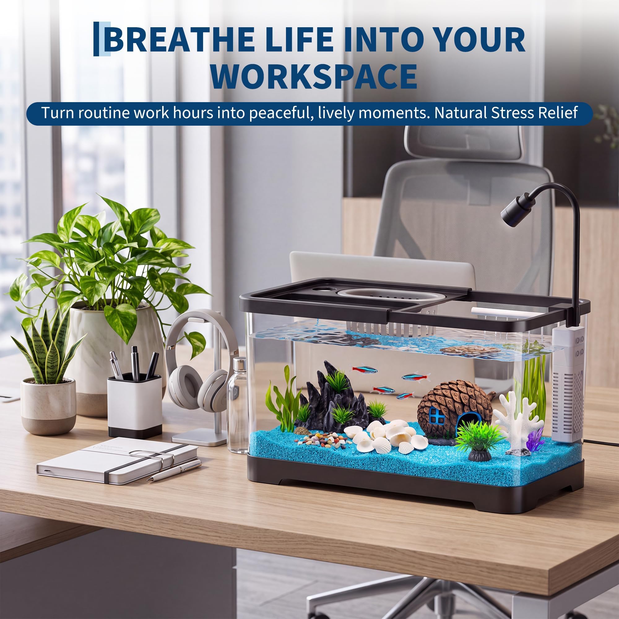 Kit Iniziale per Acquario con  - Betta Fish Tank recensione e prezzo