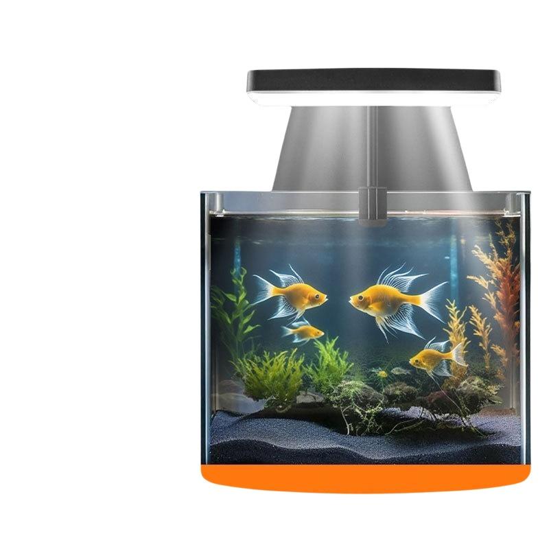 Lampada LED USB per Acquario c - Aquarium Plants recensione e prezzo