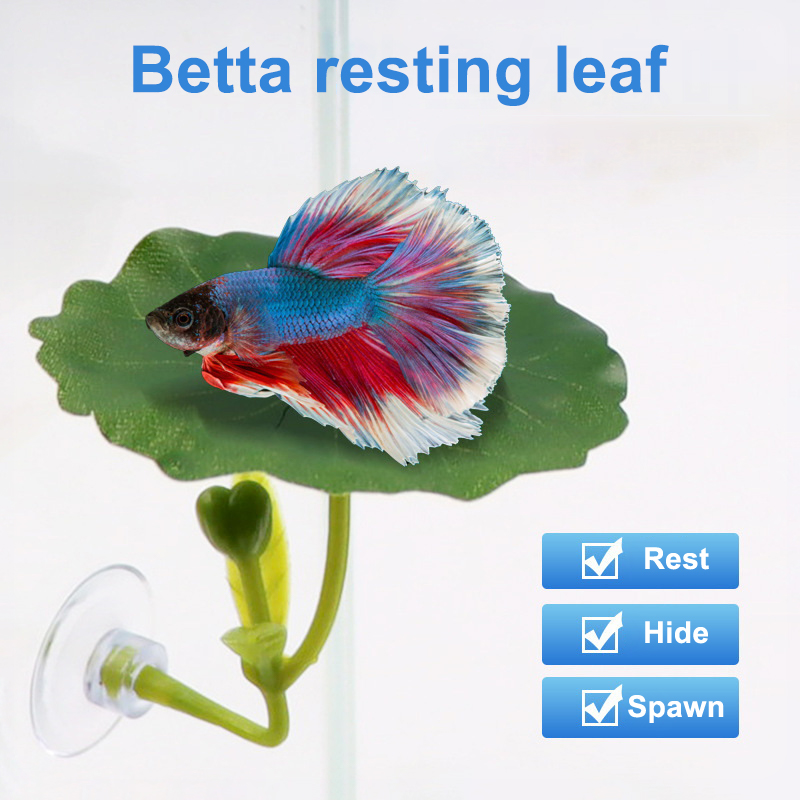 (Ce14)1/5PC Amaca a forma di f - Betta Fish Tank recensione e prezzo