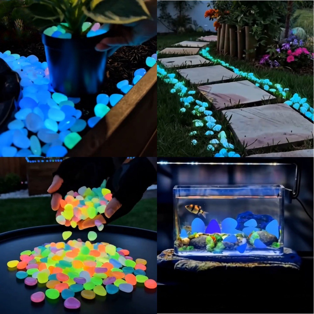 Ciottoli luminosi colorati che - Aquarium Plants recensione e prezzo
