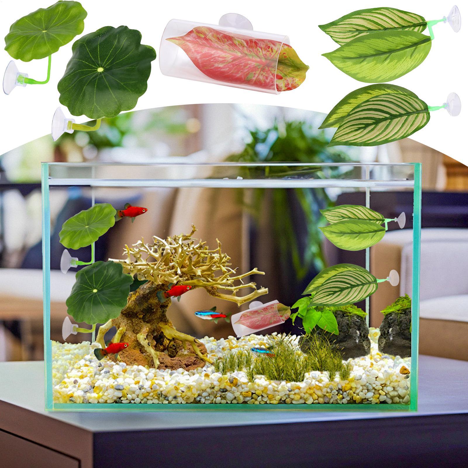 Amaca per pesci Betta 5 pezzi  - Aquarium Fish Betta recensione e prezzo