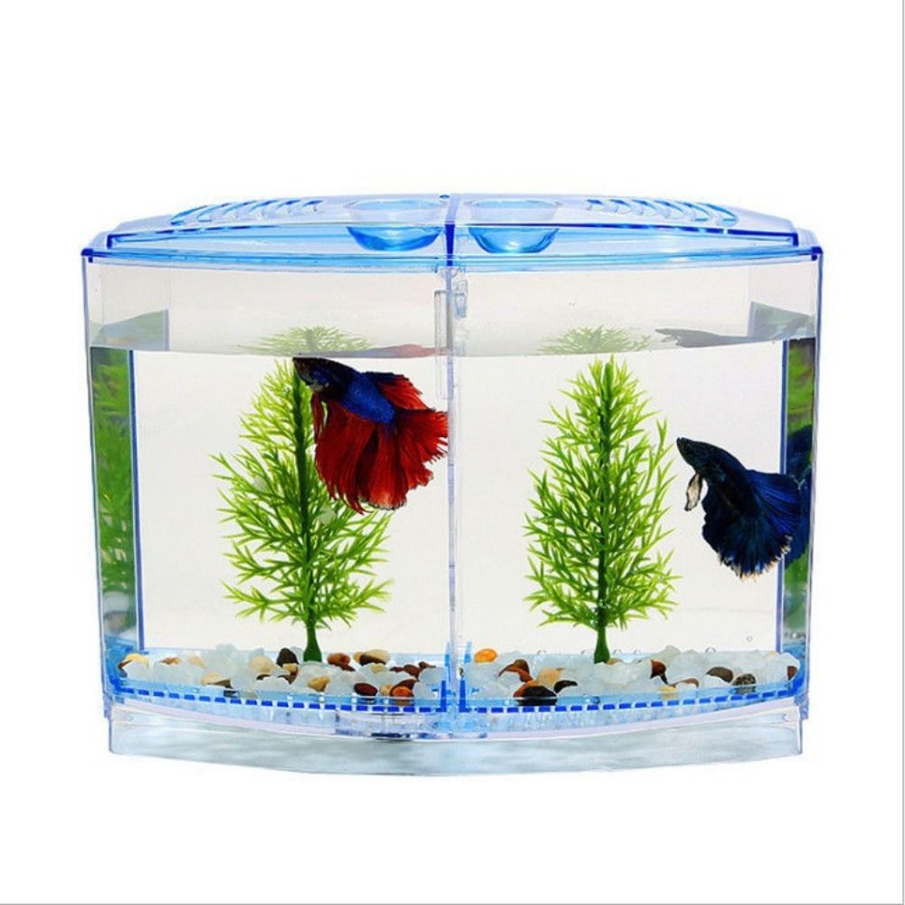 Acquario Betta trasparente, ac - Betta Fish Tank recensione e prezzo