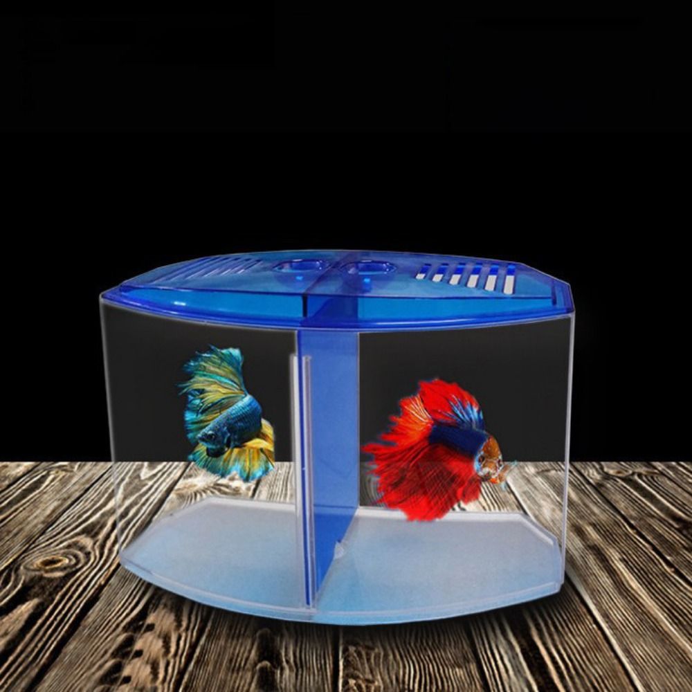 Acquario Betta trasparente, ac - Betta Fish Tank recensione e prezzo