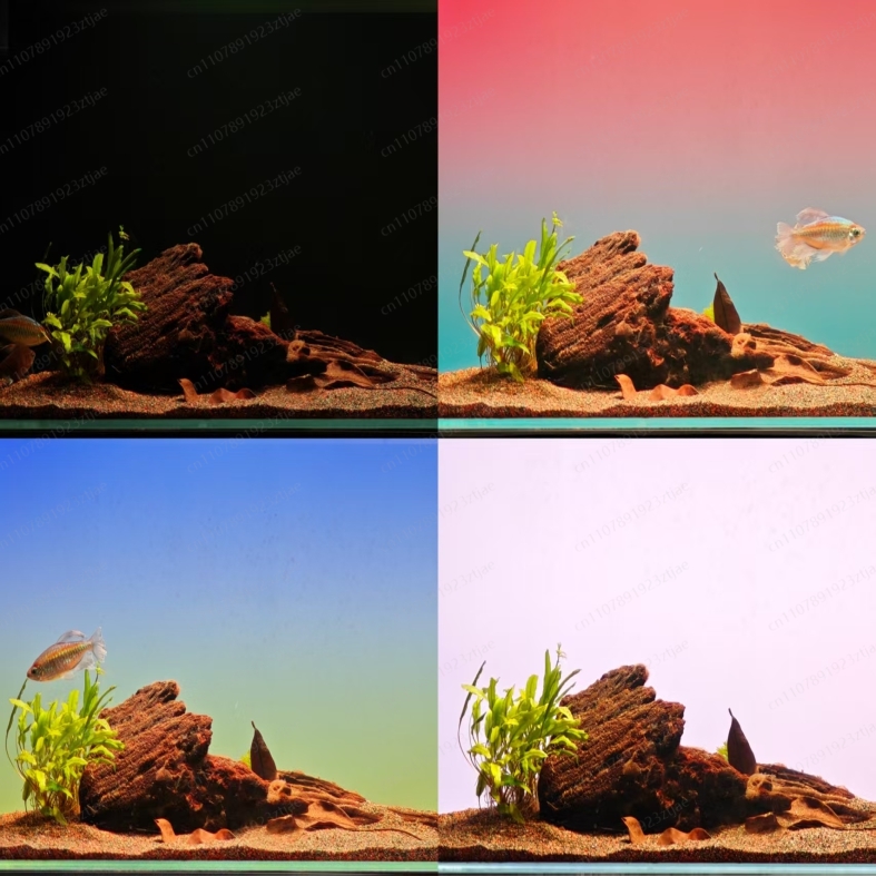 Pannello Luminoso in Acrilico  - Aquarium Light recensione e prezzo