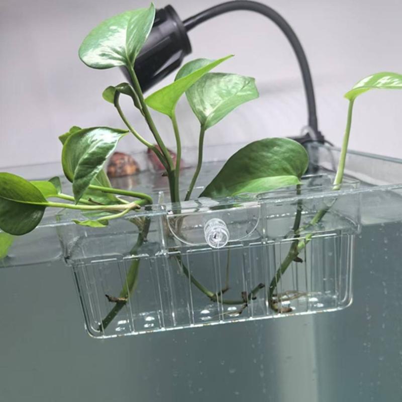 Cestino per Piante Idroponiche - Aquarium Plants recensione e prezzo