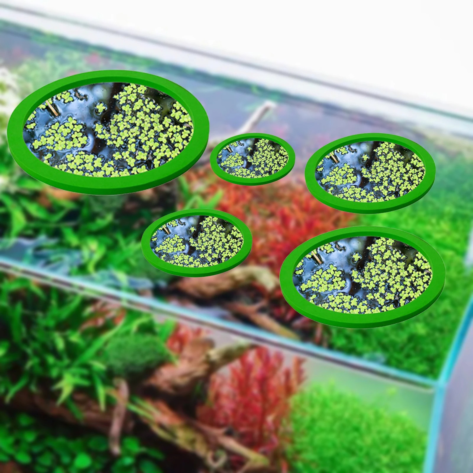 5 pz EVA Anello di Alimentazio - Aquarium Plants recensione e prezzo