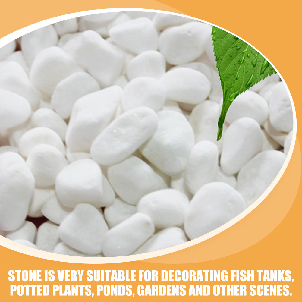 Set di Pietre Decorative Bianc - Fish Tank Gravel recensione e prezzo