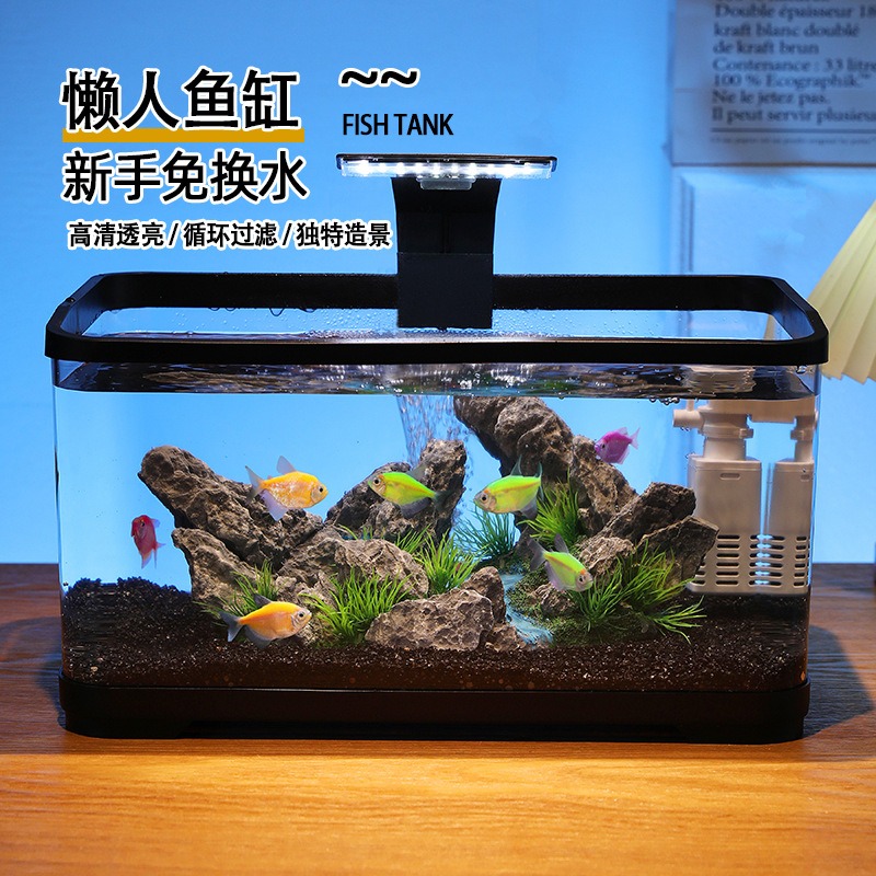 Acquario da tavolo con filtro  - Fish Aquarium Home recensione e prezzo