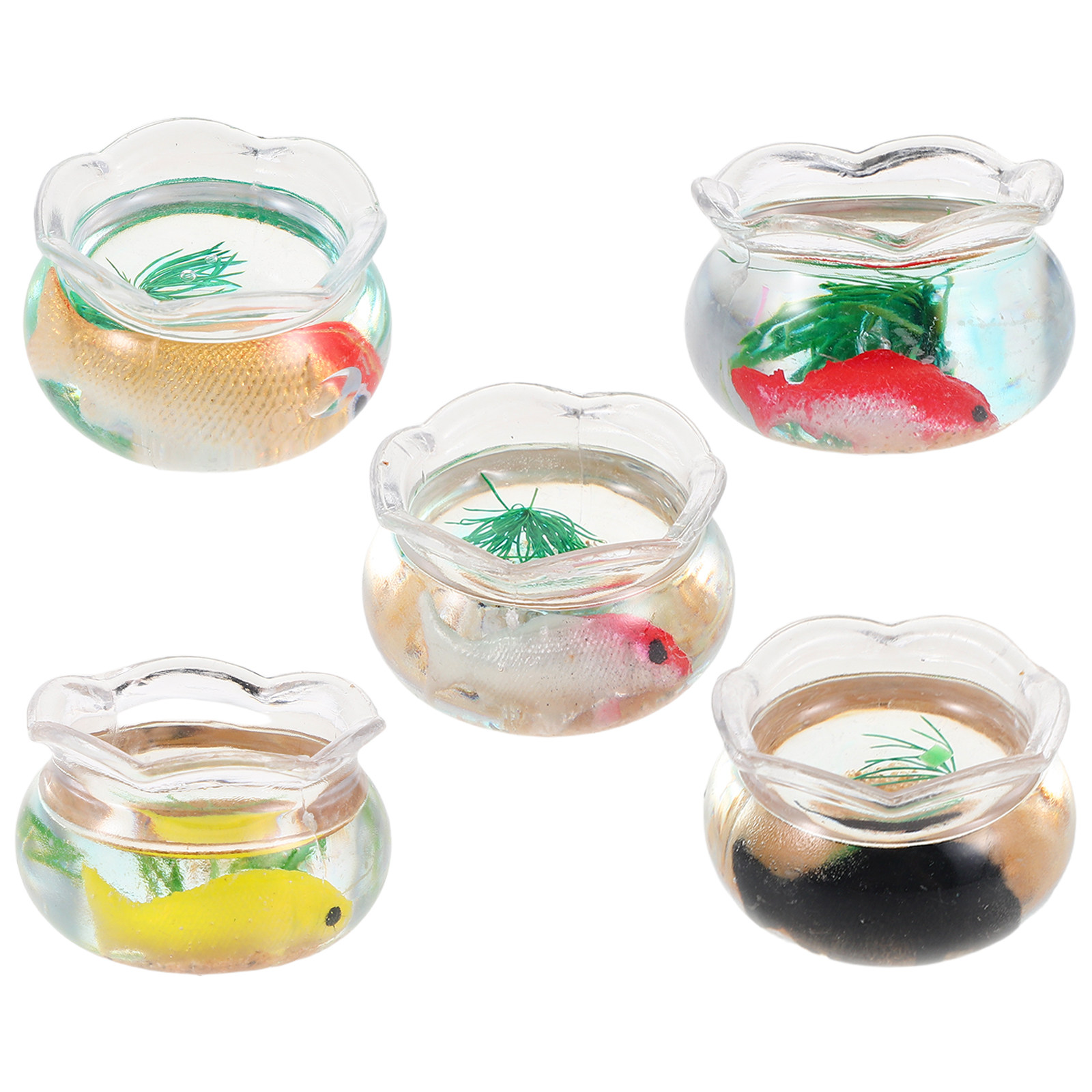 5 Pezzi Mini Acquario per Pesc - Aquarium Plants recensione e prezzo