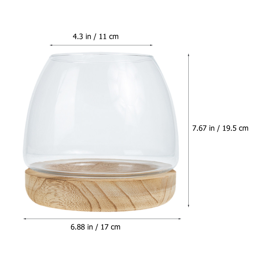 1 set di terrario idroponico i - Aquarium Plants recensione e prezzo